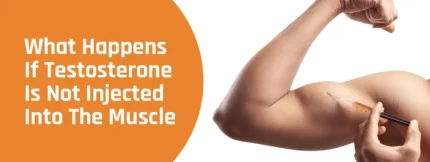 Buy What Happens If Testosterone Is Not Injected Into The Muscle online